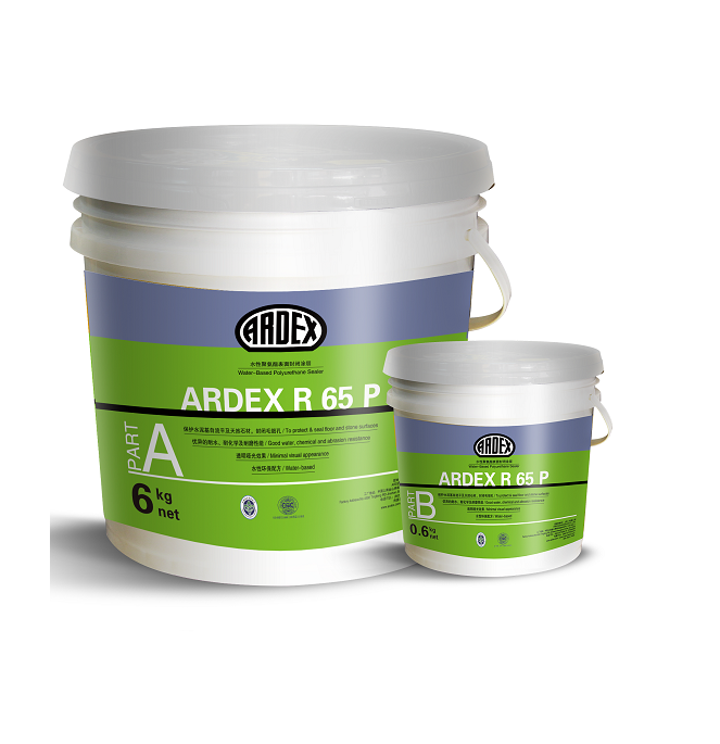 ARDEX R 65 P